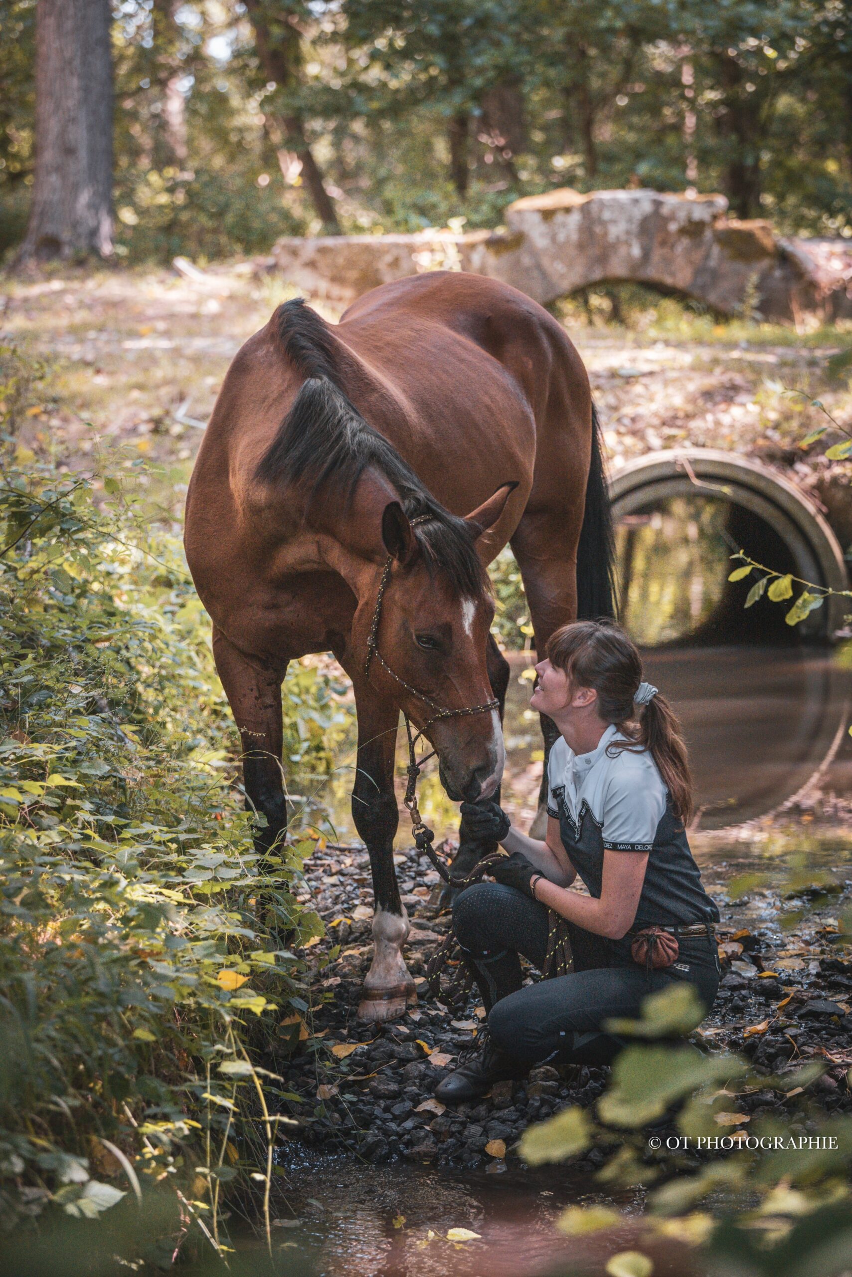 Propriétaire et son cheval